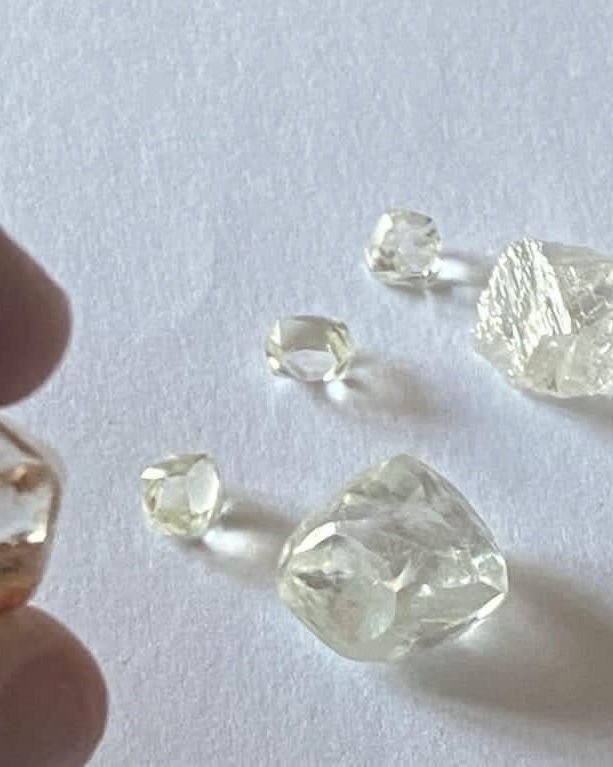 Rough diamonds imported by Clear Facets for cutting in Surat